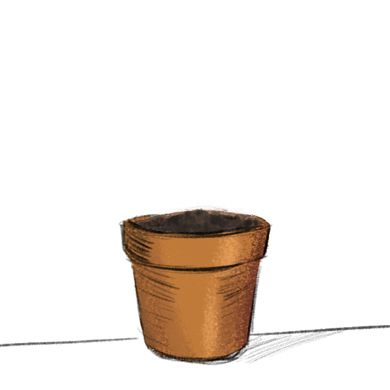 Pot